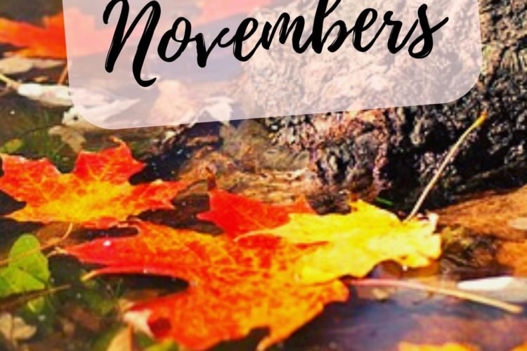 november story erotica cover