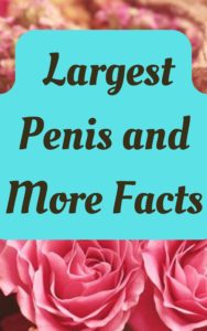 Largest Penis and more