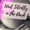 Wait Silently in the Dark romance story