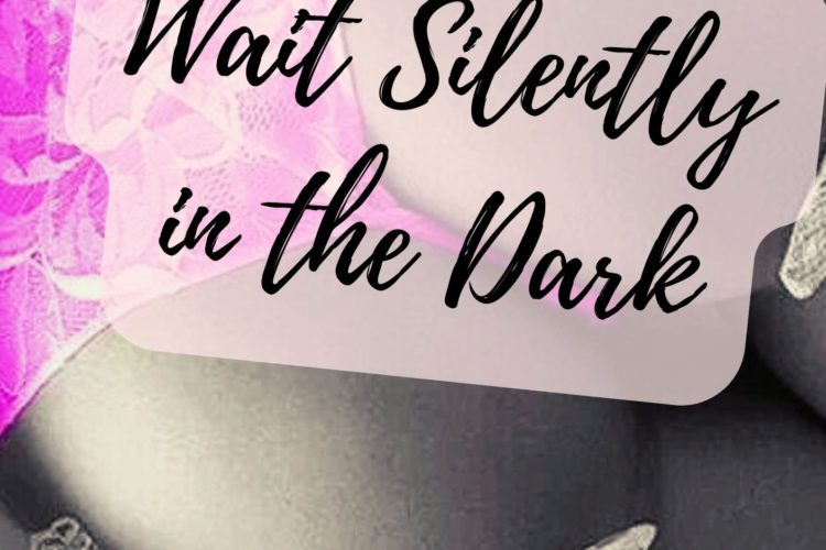 Wait Silently in the Dark romance story