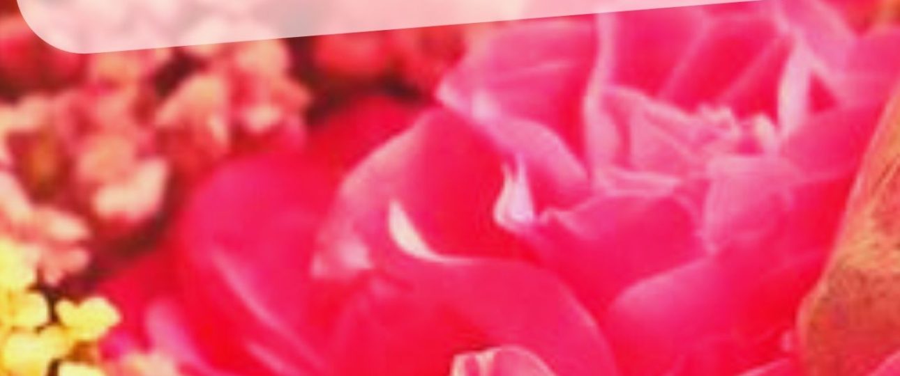 a lovers cry erotic poem