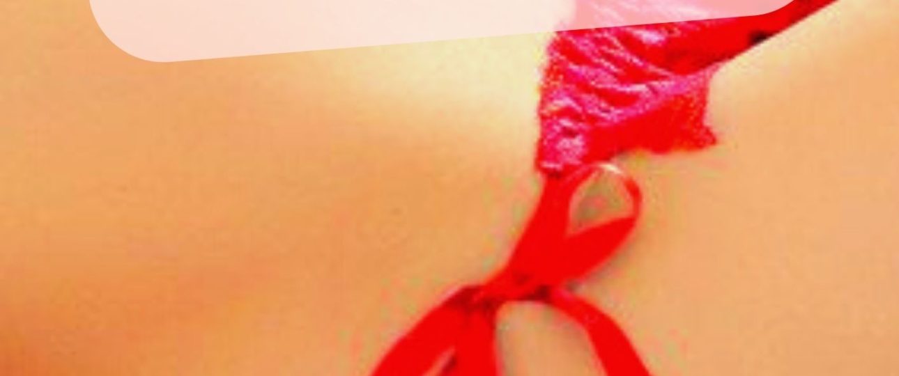 the switc book cover