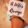 wife revenger swinger story
