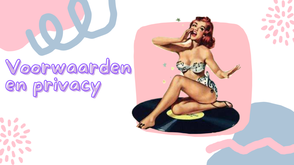 Voorwaarden en privacy