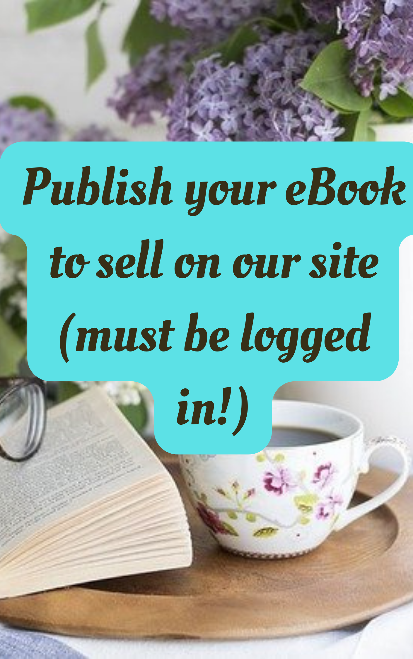 publish your ebook on salty vixen stories