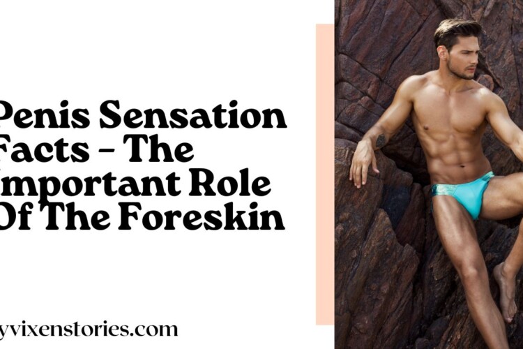 Penis Sensation Facts – The Important Role Of The Foreskin