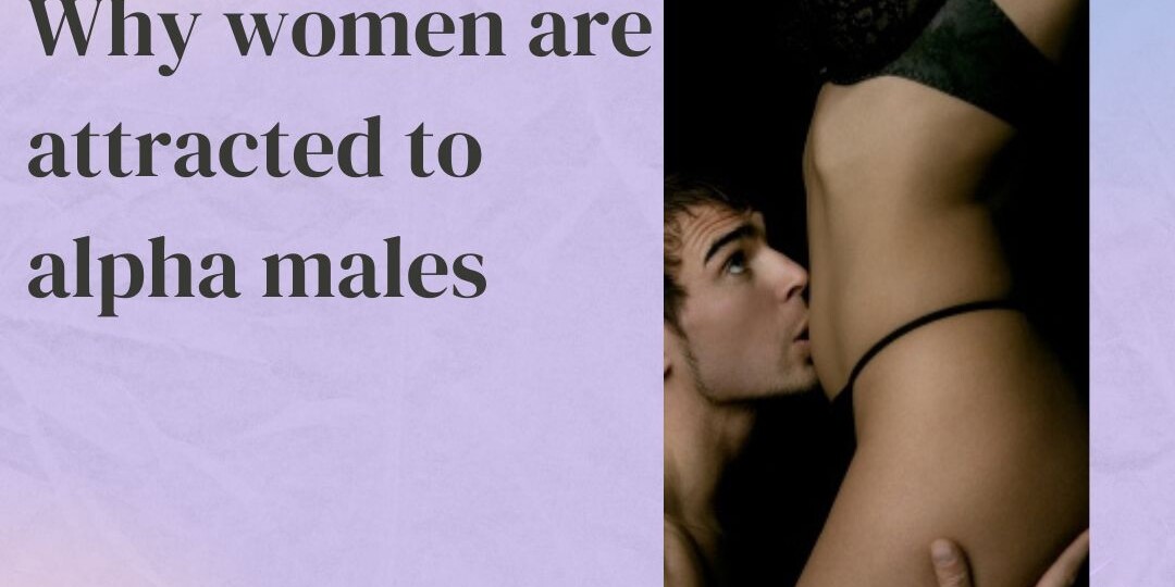 Why women are attracted to alpha males