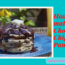 how to make chocoalte chip pecan pancakes recipe