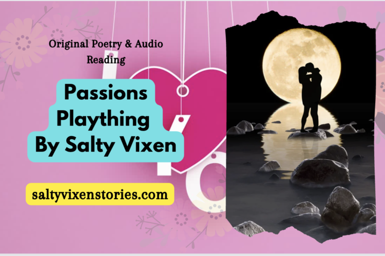 passions plaything cover