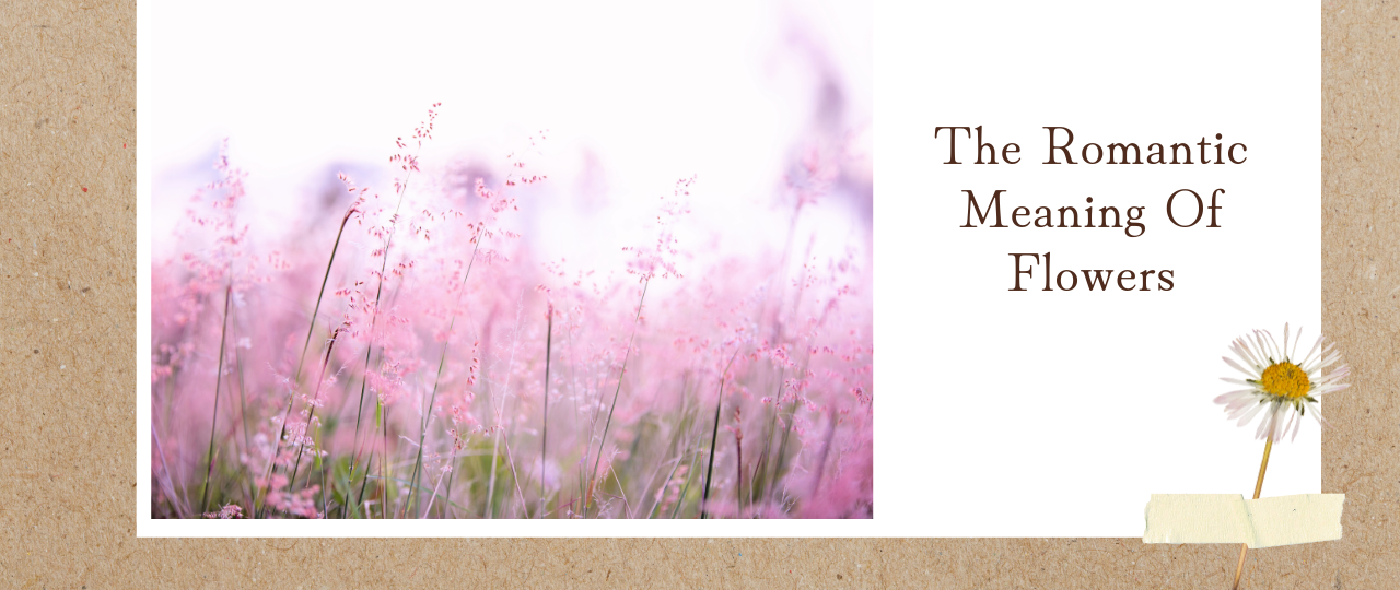 romantic meaning of flowers