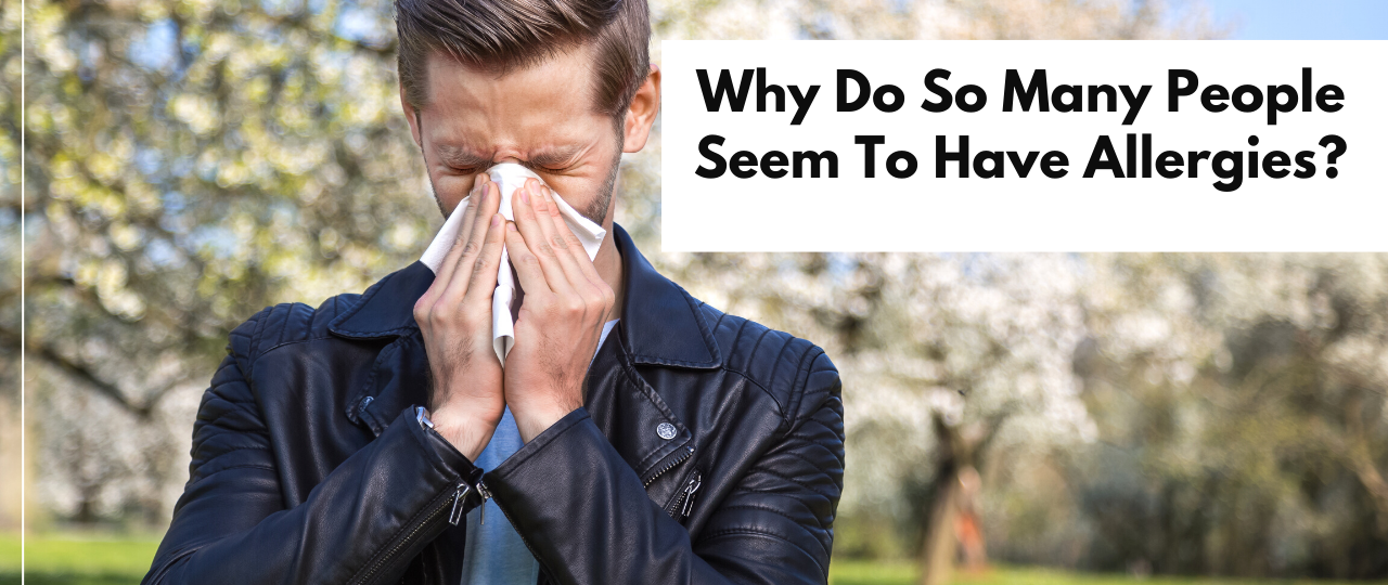 why do so many people have allergies answers