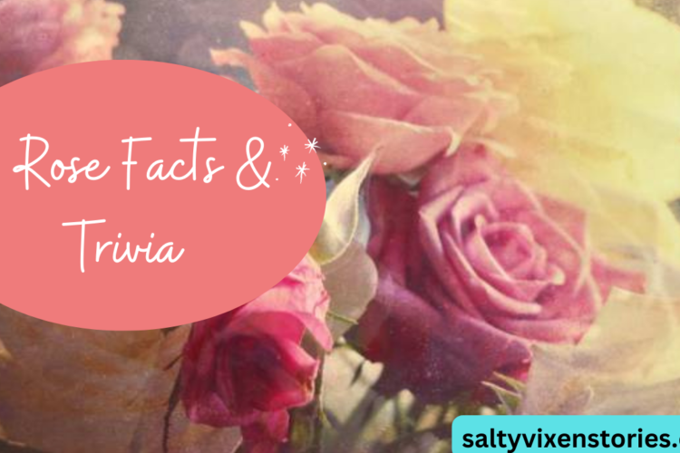 11 rose facts and triva
