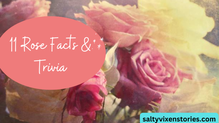 11 Rose Facts & Trivia