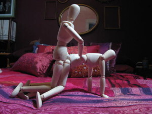 sex positions doggy style