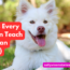 6 Tricks Every Dog Can Teach Its Human humor