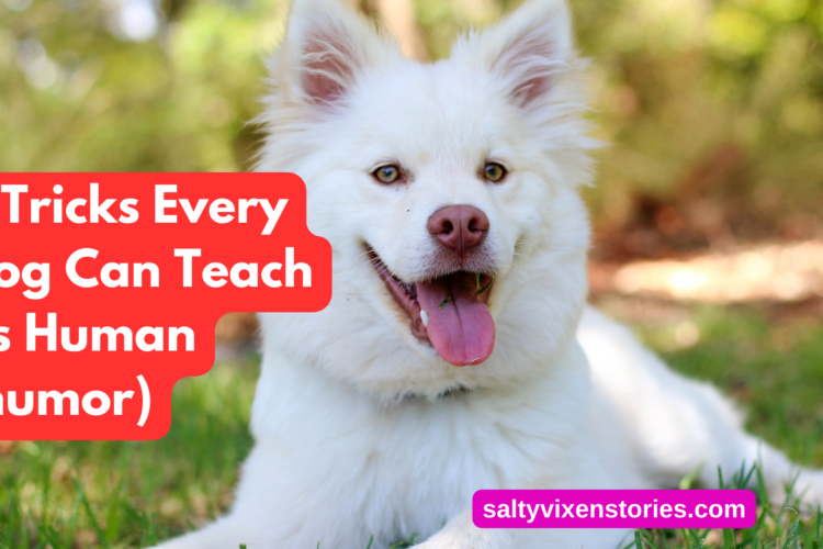 6 Tricks Every Dog Can Teach Its Human humor