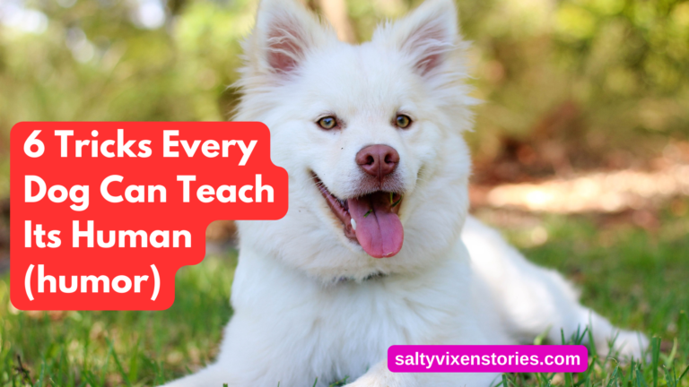 6 Tricks Every Dog Can Teach Its Human (humor)