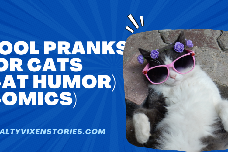 Cool Pranks for Cats cat humor
