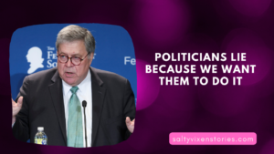 Politicians lie because we want them to do it
