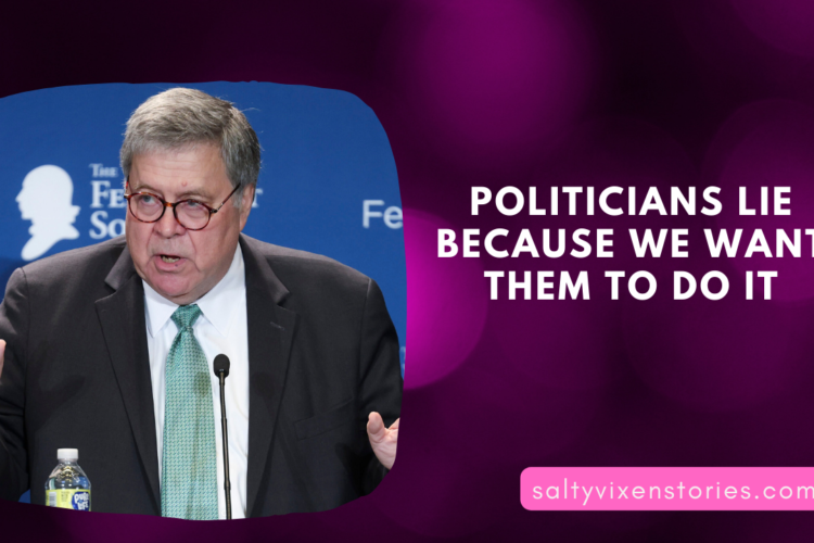 Politicians lie because we want them to do it