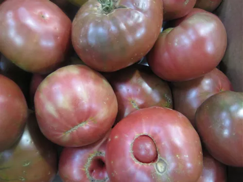 3 tomato