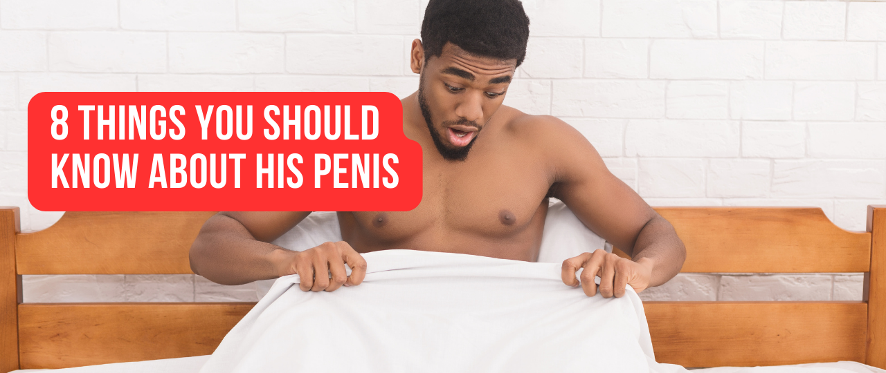 8 Things You Should Know About His Penis