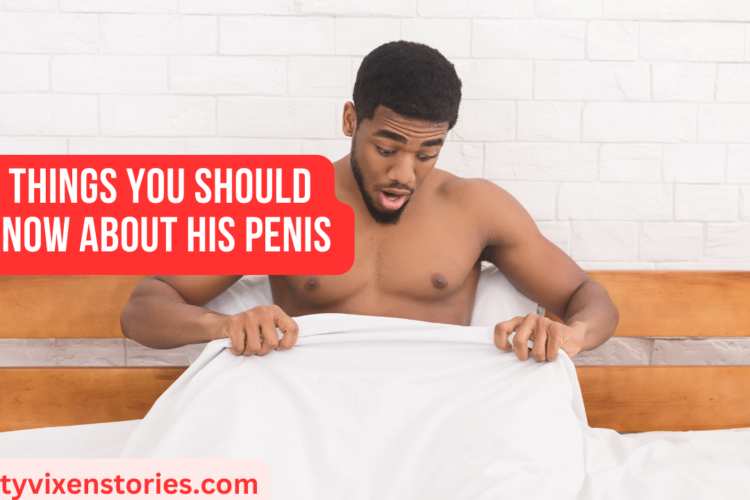 8 Things You Should Know About His Penis