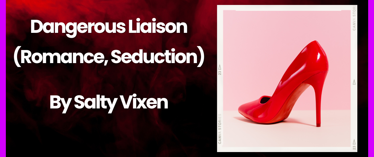 Dangerous Liaison Romance seduction erotica story