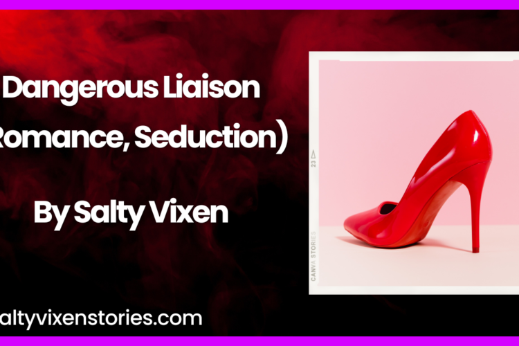 Dangerous Liaison Romance seduction erotica story