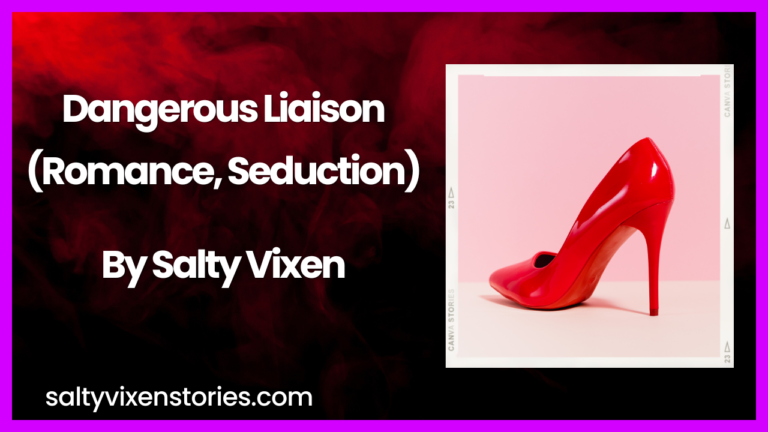 Dangerous Liaison-Romance & seduction erotica story