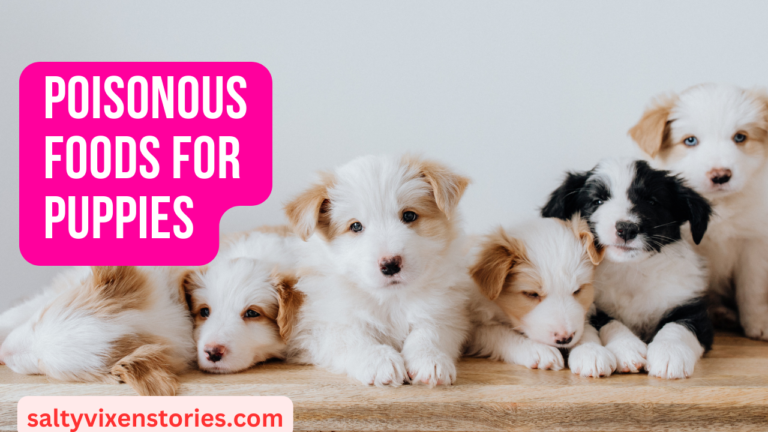Poisonous Foods for Puppies (a list)