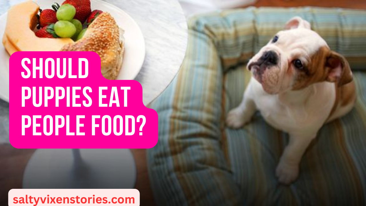 Should Puppies Eat People Food?