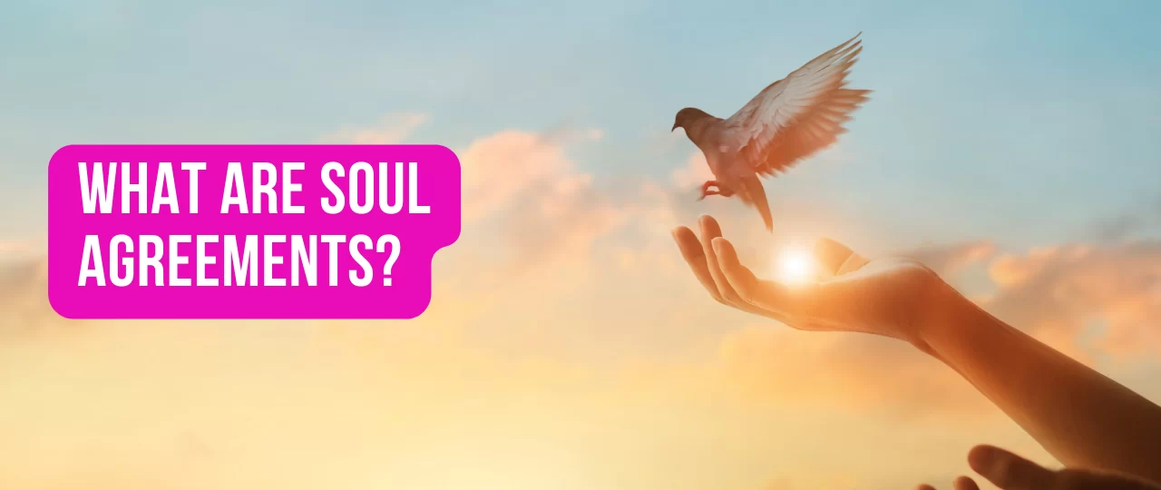 What Are Soul Agreements