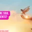What Are Soul Agreements