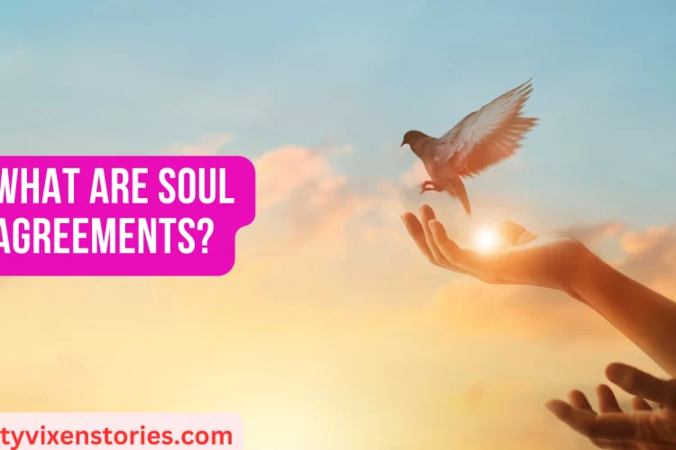 What Are Soul Agreements