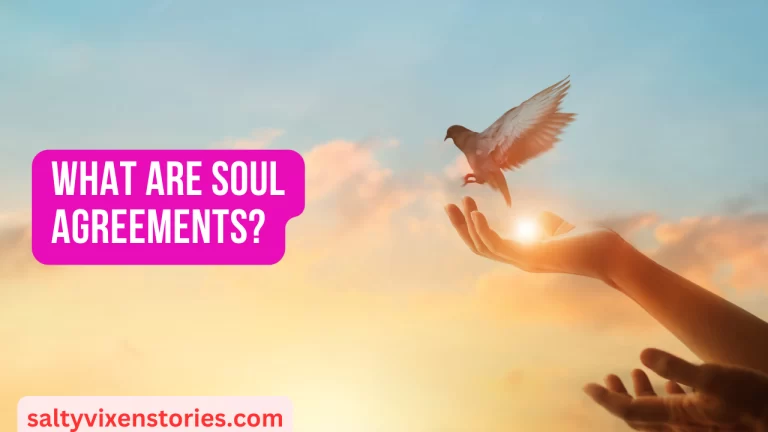 What Are Soul Agreements?