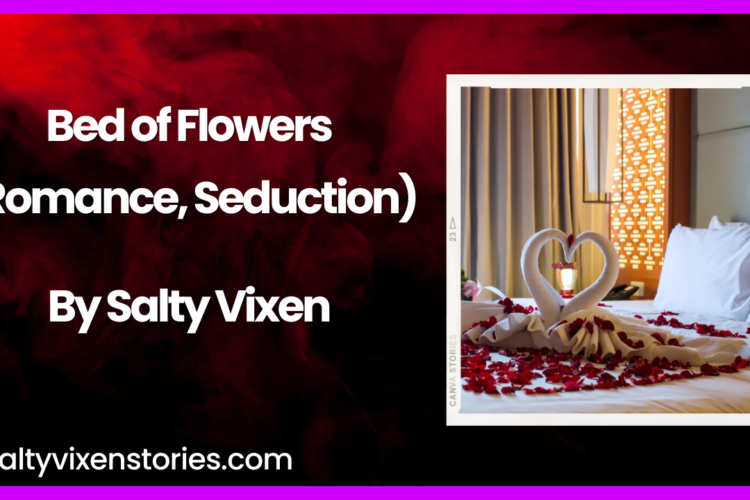 bed of roses seduction romance erotica story