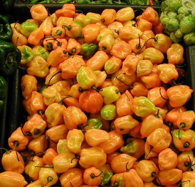pepperhabanero