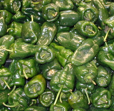 pepperpoblano