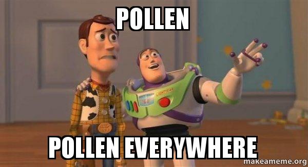 pollen pollen everywhere