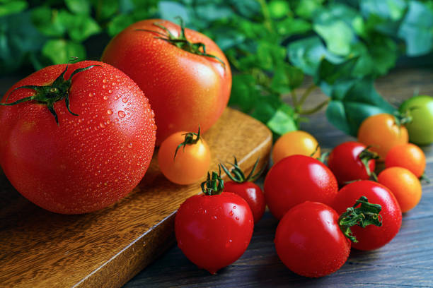 tomatoes variety