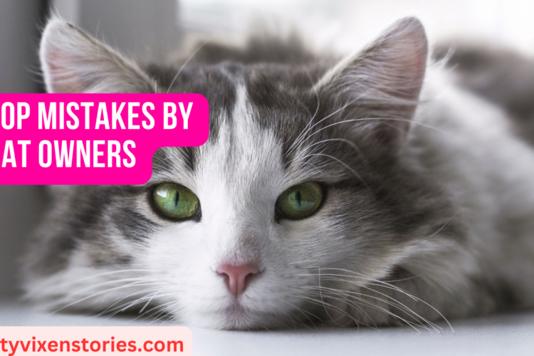 top mistakes by cat owners