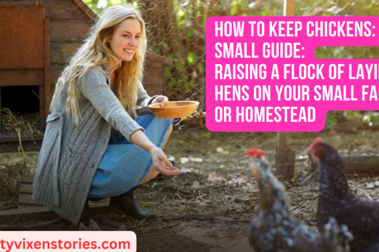 How to Keep Chickens Small Guide