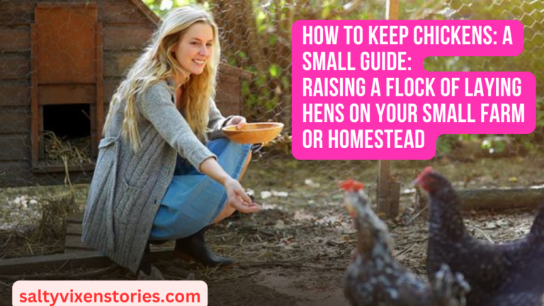 How to Keep Chickens Small Guide
