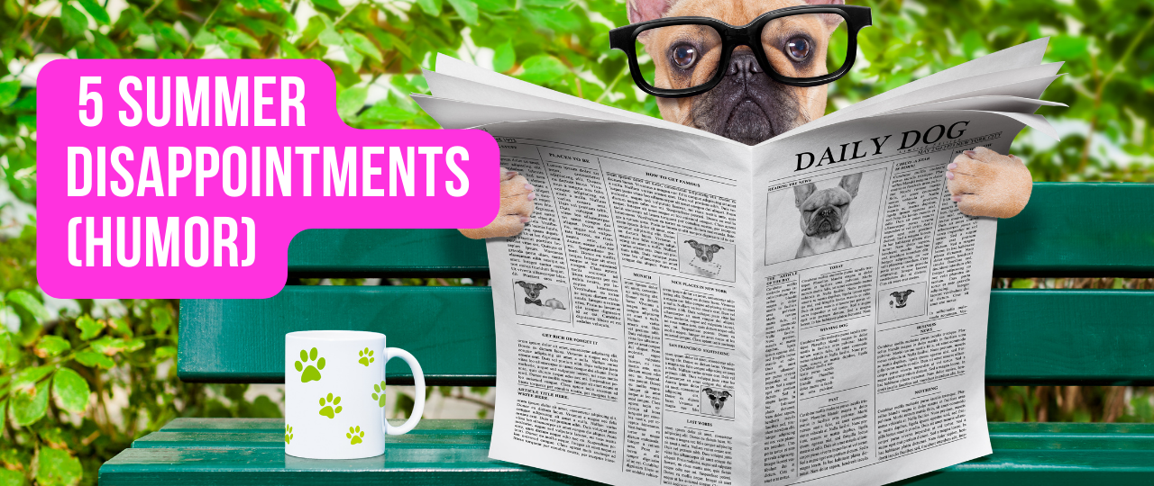 5 Summer Disappointments humor