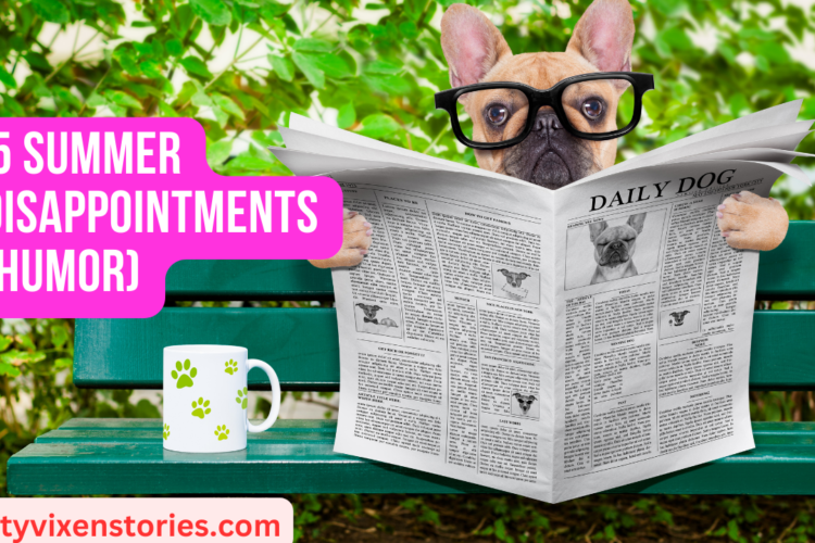 5 Summer Disappointments humor