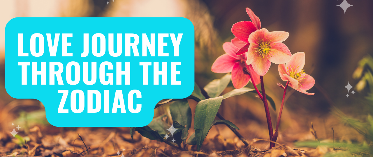 Love Journey Through the Zodiac