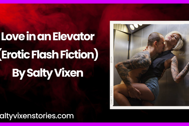 Love in an Elevator Erotic Flash Fiction