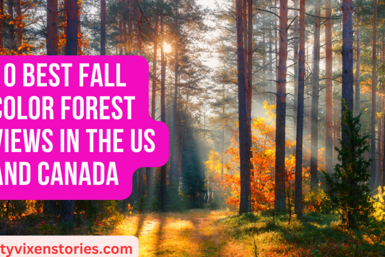 10 Best Fall Color Forest Views in the US and Canada