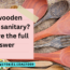 Are wooden spoons sanitary We have the full answer